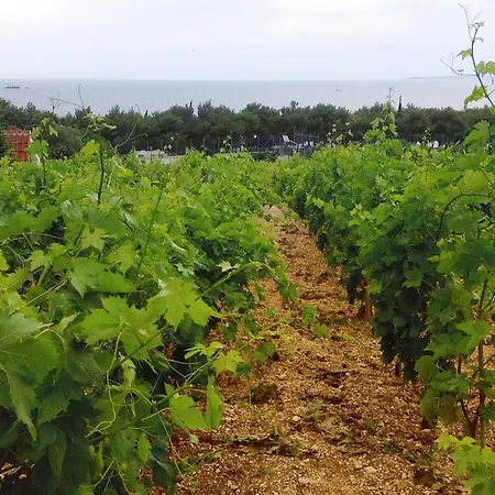 4268a Апартаменты Примоштен